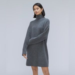 Everlane cashmere turtleneck sweater dress